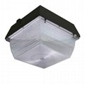 60w led canopy light with DLC listed