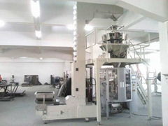 Foshan Chuanyue Packaging Machinery Co., Ltd.