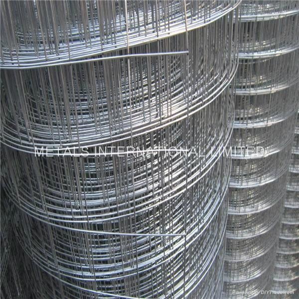 HOT DIPPED GALVANIZED WELDED WIRE MESH