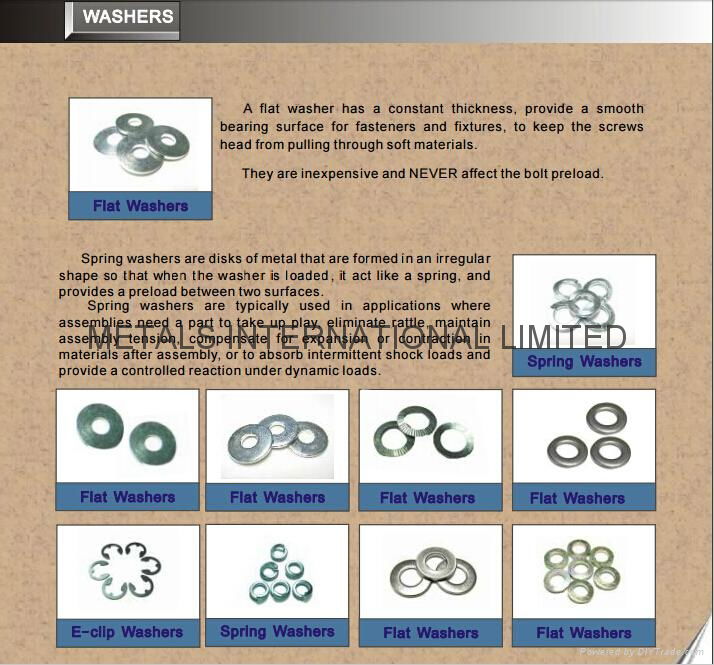 Spring Washers & Flat Washers &E-clip Washers