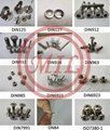 Din931 Din934 Din933 Corrosion Resistant GR2 Titanium Nuts, Bolts, Washers & Fasteners
