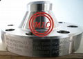 N08825 Nickel Alloy Nozzle Flange