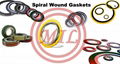  ASME B16.20 Spiral Wound gasketd-Outer-Ring