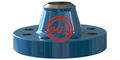 ANSI B16.5 150# 304L EPOXY COATED WNRF Flange