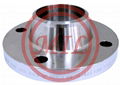 ASTM A182 ANSI B16.5 F304 Stainless Steel Weld Neck Flange