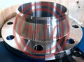 ANSI B16.5 F316L stainless Steel 150# forged WN Flange