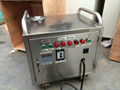 Steam Cleaner 1