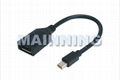 Mini DisplayPort Male To DisplayPort Female Cable 1