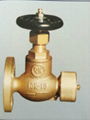 Marine Bronze Globe Hose Valve JIS