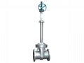 Cryogenic Gate Valve