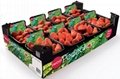 Fruit boxes UV coating boxes strawberry packaging 3