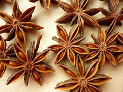 Star anise without stem