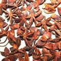 Star anise with stem 1