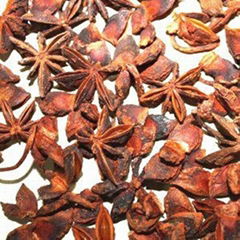 Star anise with stem