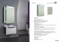 Lighted Mirror Cabinet