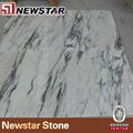 NMJ047 - Arabescato corchia Marble