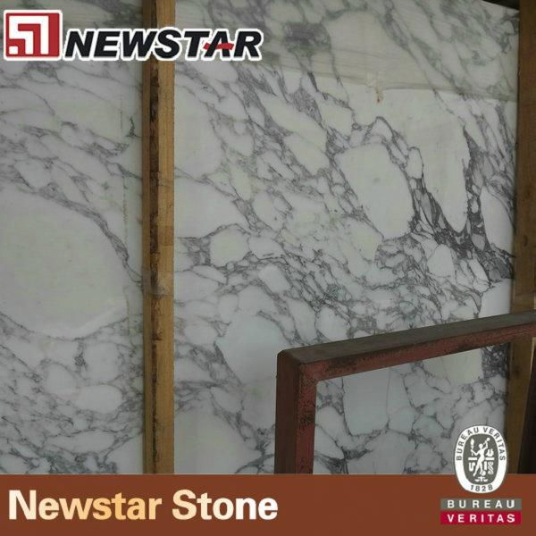 NMJ047 - Arabescato corchia Marble 2