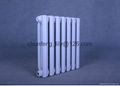 Cast Iron Radiator RZ500