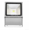 LED Flood Light 5