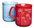 Hot Selling Promotion Mug 2