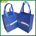 Recyclable Promotion Eco Non-Woven