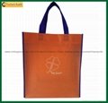 Cheap Reusable Biodegradable Printable Shopping Bag (TP-SP322) 4