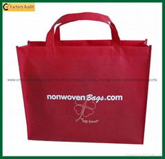 Cheap Reusable Biodegradable Printable Shopping Bag (TP-SP322)