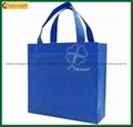 Simple Style Trendy Non Woven Fabric Shopping Bag (TP-SP507) 4