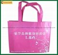 Custom Recyclable Cheap Printed Shopping Bags Wholesale (TP-SP057) 3
