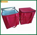 Cheap PP Non Woven Laminated Coolers Bags (TP-CB321) 2