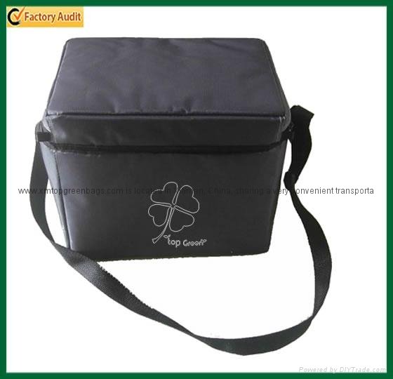 Insulated Shoulder Cooler Lunch Bag with Adjustable Strap (TP-CB312) 4