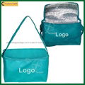 Washable Insulated Thermal Lunch Bag for Women (TP-CB209)