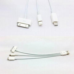  Micro USB Lightning Charging Cable 