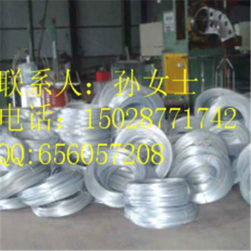 electro galvanized steel wire