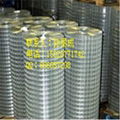 welded wire mesh