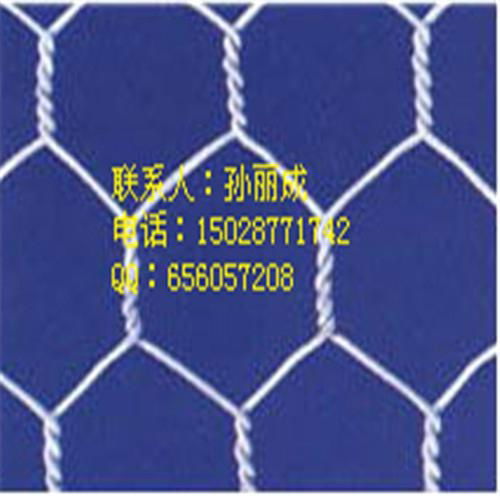 hexagonal wire netting 2