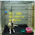 dog cage rat cage bird cage 4