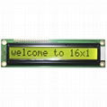 LCD Module (C1601B)  1