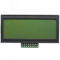 LCD module(DS-G12032A) 1