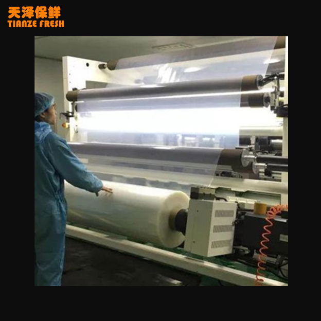 Coextrusion Multi-Layer Clear Food Packaging PA PE Film Tubing Film 2