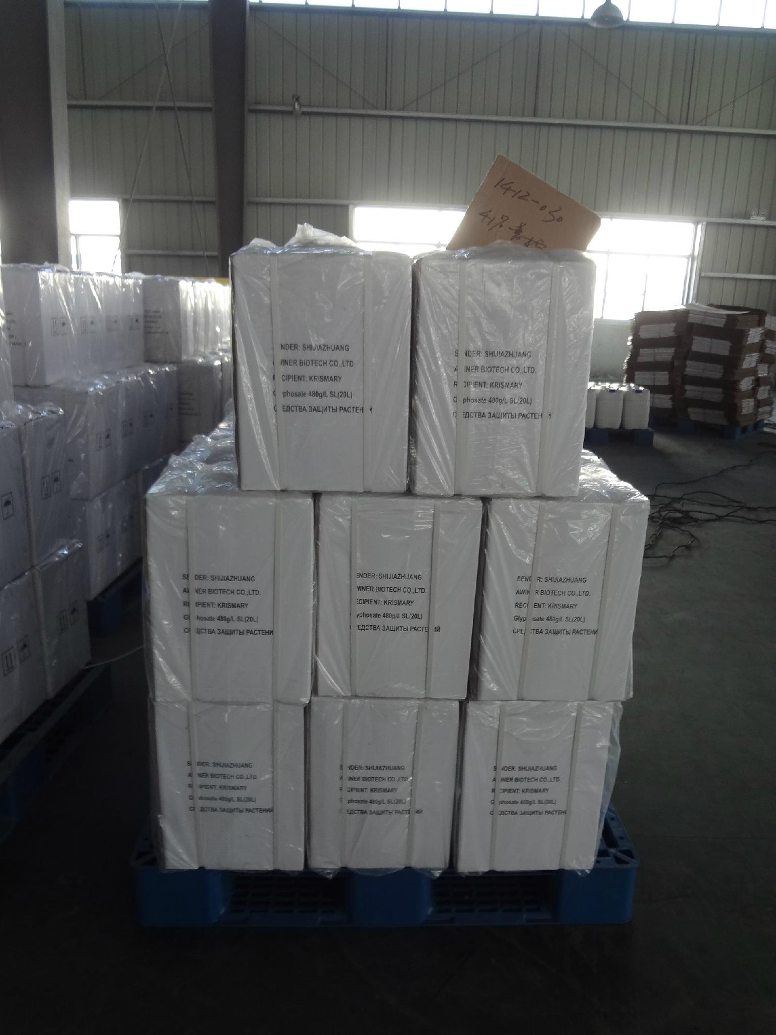 agrochemical rice weedicides herbicide GLYPHOSATE 41%SL 480G/L SL 5