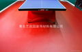 青岛乒乓球PVC运动塑胶地板 2