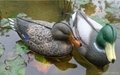  Sell Floating duck decoy for hunting