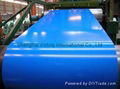 prepainted steel coil