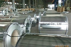 galvanized steel coil