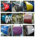 prepanited steel coil 1