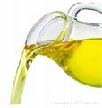 Refined Rapeseed Oil 1