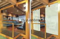 High Quality privacy glass 1