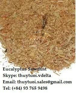 Viet Nam eucalyptus Sawdust 