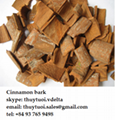 Viet Nam Cinnamon Bark 3
